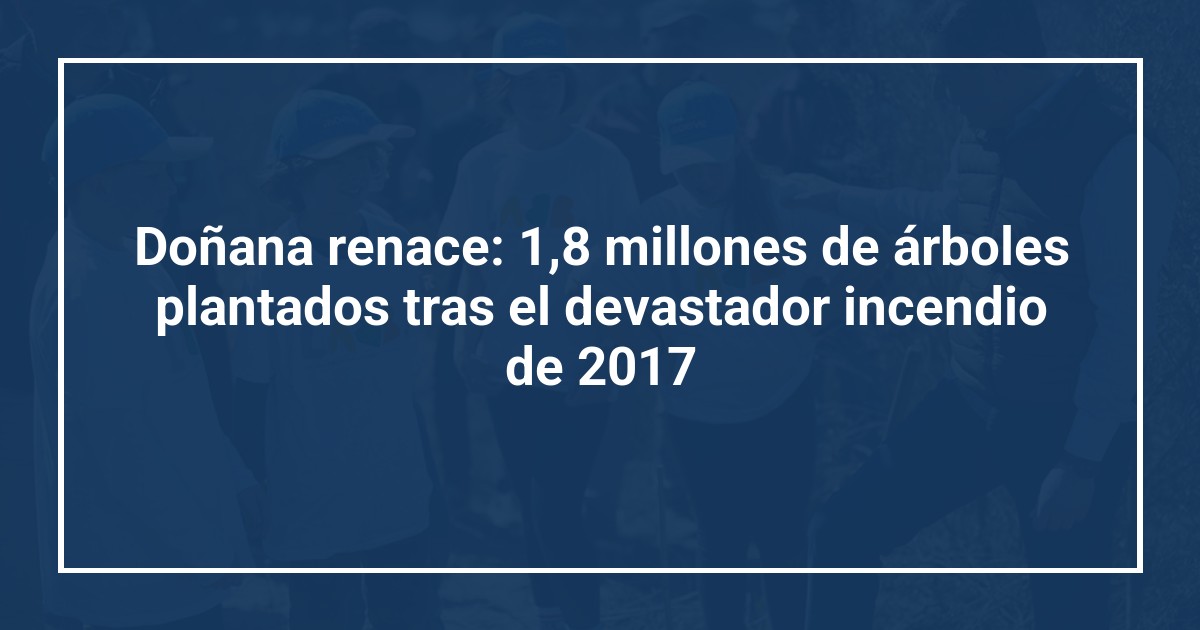 Doñana renace: 1,8 millones de árboles plantados tras el devastador incendio de 2017