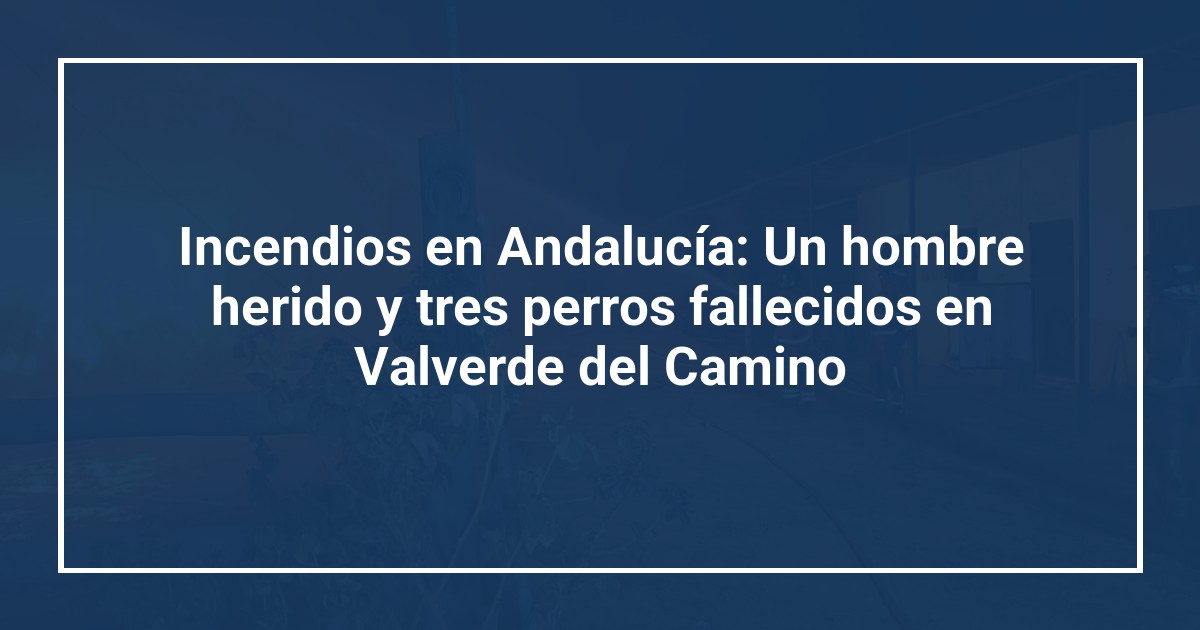 Incendios en Andalucía: Un hombre herido y tres perros fallecidos en Valverde del Camino