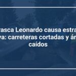 La borrasca Leonardo causa estragos en Huelva: carreteras cortadas y árboles caídos
