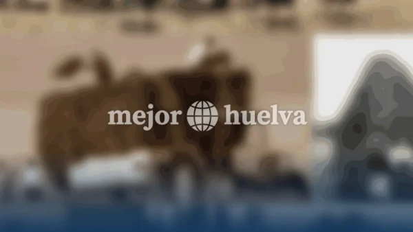 Desaparece documentación clave de Doñana Comunicación: ¿un escándalo en la gestión pública?