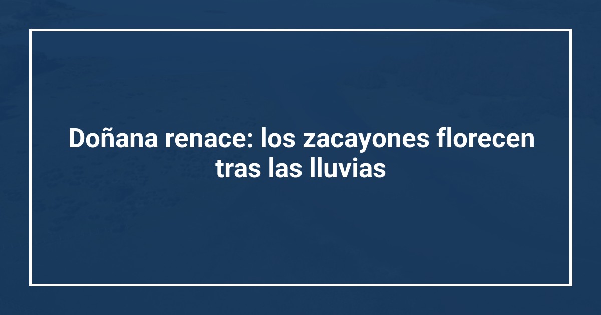 Doñana renace: los zacayones florecen tras las lluvias