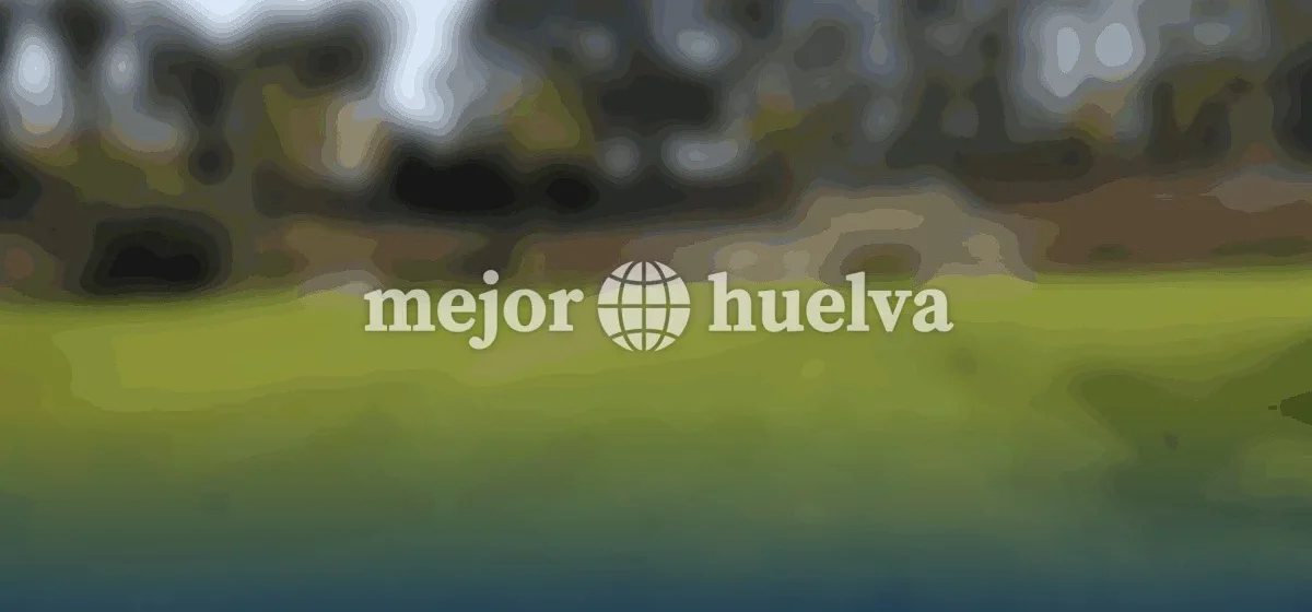 Huelva transforma la avenida Nuevo Colombino en un oasis verde para la comunidad