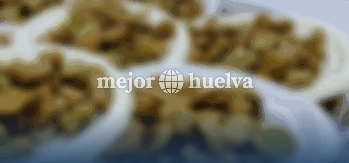La Palma del Condado celebra su icónica Muestra de Habas con Poleo y Vino este fin de semana
