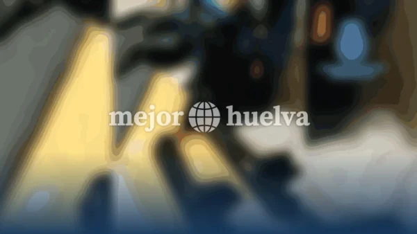 Operativo en Huelva: 600 kilos de marisco incautados por falta de documentación