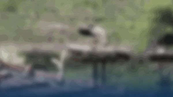 Indignación en Paterna del Campo: Destrucción de nidos de aves protegidas genera controversia