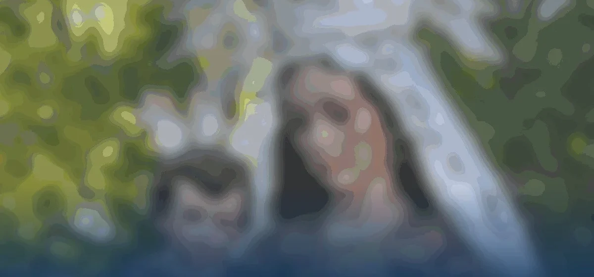 Niebla se viste de fiesta: La romería de la Virgen del Pino atrae a miles de devotos
