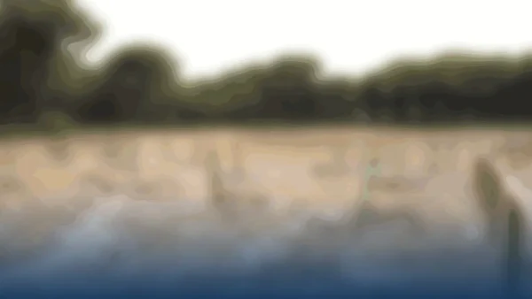 Almonte renueva su compromiso ecológico con la restauración de lagunas temporales