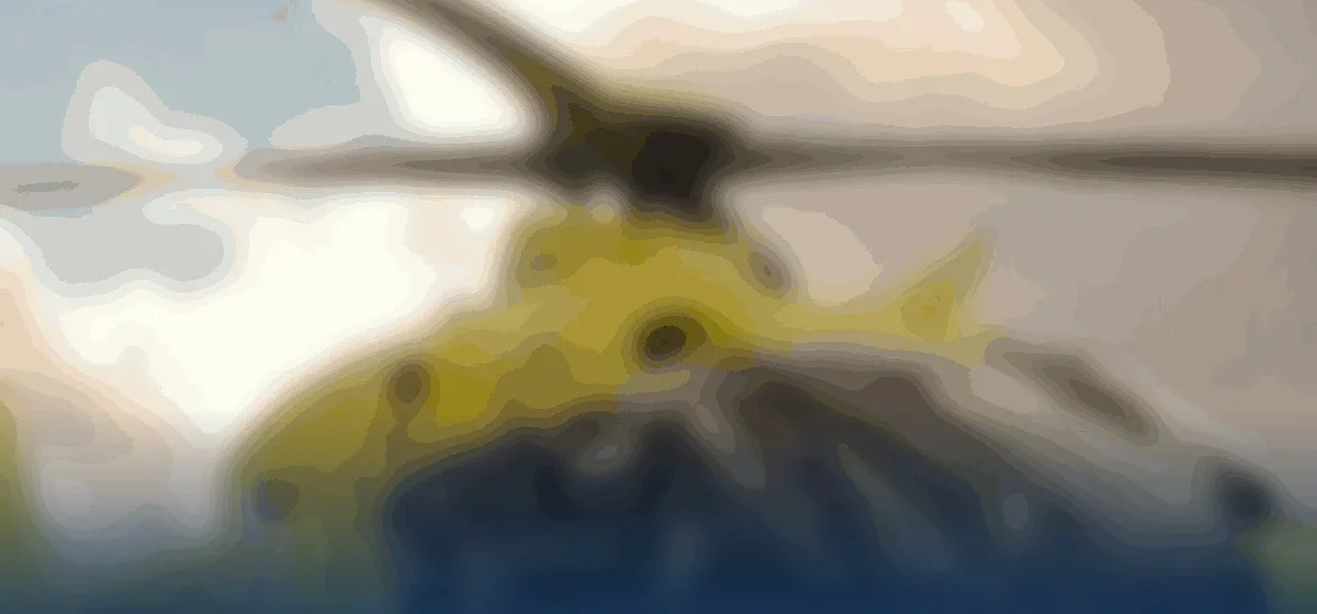 Tragedia en el campo: cazadora pierde la vida tras un disparo accidental de su pareja