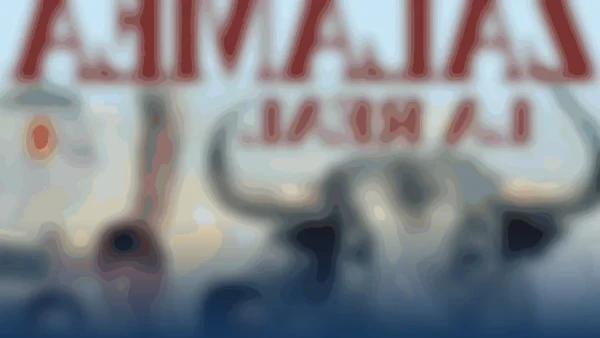 Zalamea la Real se aferra a la tradición taurina: un compromiso inquebrantable ante la adversidad