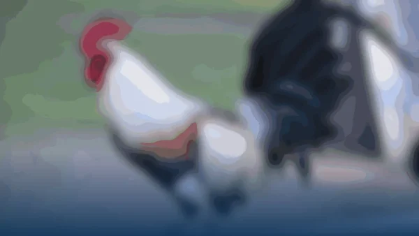 La batalla de los gallos: Sanlúcar de Guadiana en el centro de una controversia vecinal