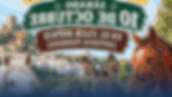 Cortegana celebra su Feria Equina con un homenaje a la tradición y la hípica andaluza