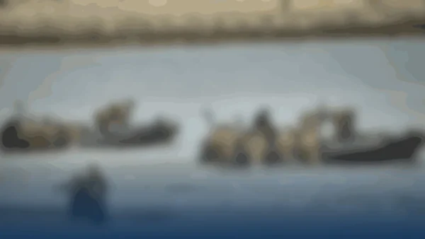 Preparativos para maniobras militares en el Golfo de Cádiz: lo que debes saber